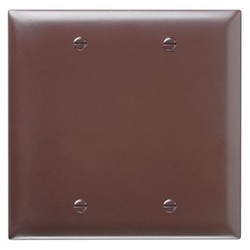 Pass & Seymour TP23 Wallplate Blank Box Mount Nylon Standard - Brown