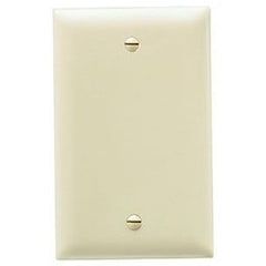 Pass & Seymour TP13GRY 1Gang Wall Plate, Blank, Box Mount, Thermoplastic, Gray