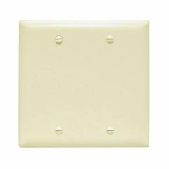 Legrand TP23-GRY Pass & Seymour Standard Blank Wall Plate 2 Gang Gray