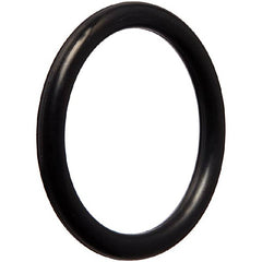 StaRite/Pentair 35505-1313 O-Ring Push Pull Replacement