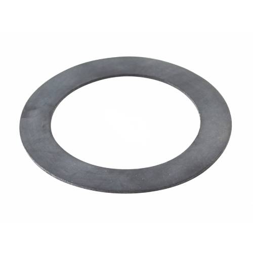 Pentair 552406 Wall Fitting Vinyl Gasket