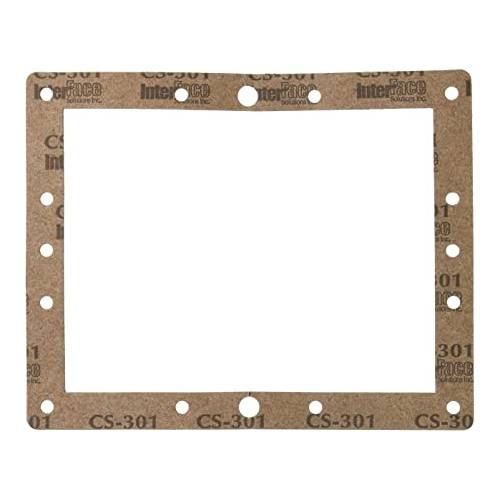 Pentair 81111800 Gasket