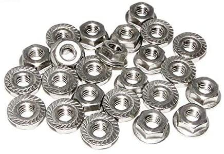 Raypak 008259F Flange Nut Kit 0.25-20in