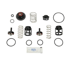 WATTS RK919-T1 1 in. Reduced Pressure Zone Assembly Total Repair Kit