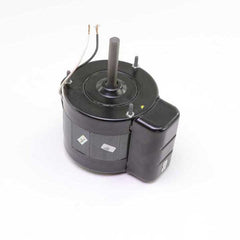 RZ1200.jpg