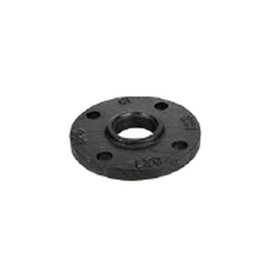 Everflow FGRC0309B | 3x9 Class 125 Reducing Companion Flange Black |