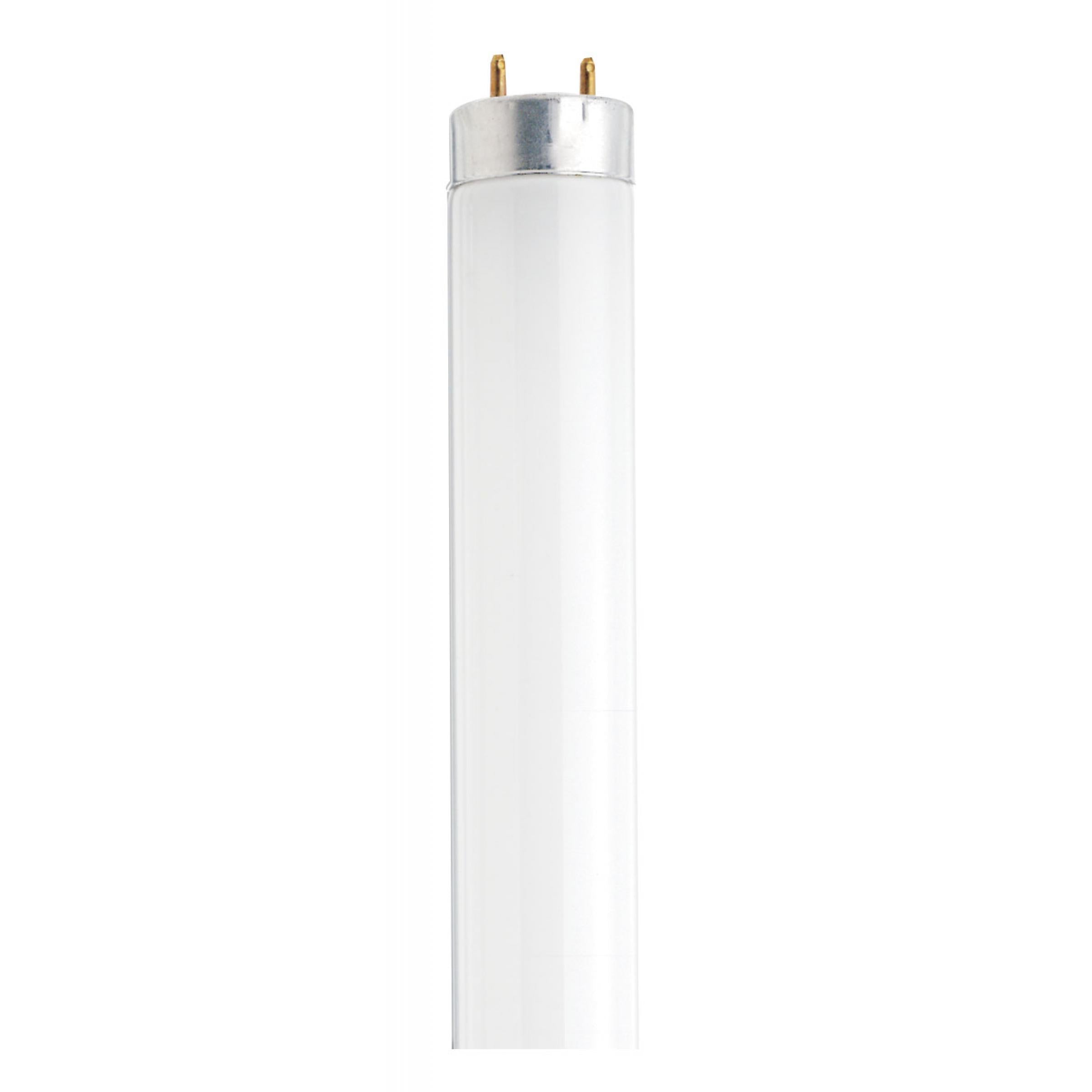 Satco S26516 18 Watt T8 30 Inch Cool White Fluorescent