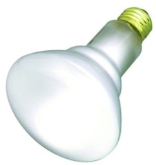 SATCO S2810 R Series 30 W Dimmable Incandescent Medium E-26