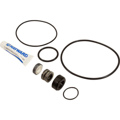 Hayward SPXHKIT12MTX Quick Pump Repair Kit