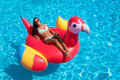 Swimline 90629 Giant Parrot Ride-On Pool Float