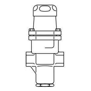 Spirax Sarco 1860190 SRV2S Direct Operated Pressure Regulator