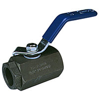 Nibco NL94GG6 T-580-CS-R-25 Carbon Steel 2-Piece Ball Valve 2000#