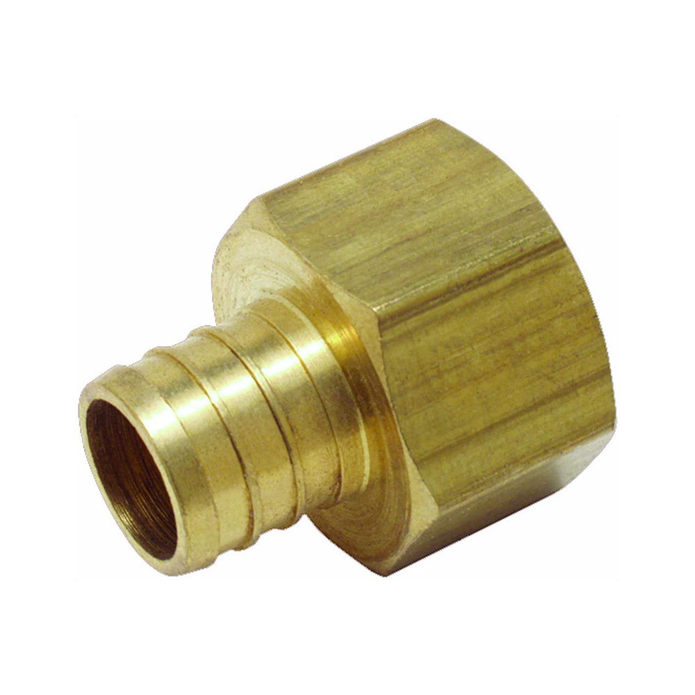 TRUE VALUE LFP-515 1/2 Lead Free Brass Barb Insert x 1/2 Female Pipe Thread Adapter