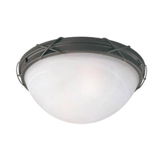 TRUE VALUE 69407 Westinghouse Ceiling Light Fixture Indoor/Outdoor 12.63 x 5-In.