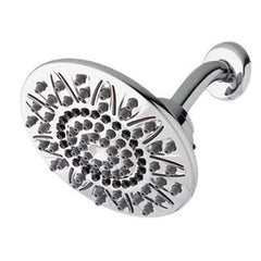 True Value ASR-733T Water Pik ASR-733 7Set Drench Shower Head