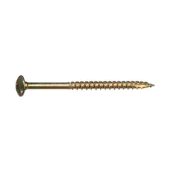 True Value 47871 20PK 5/16x4 Lag Screw