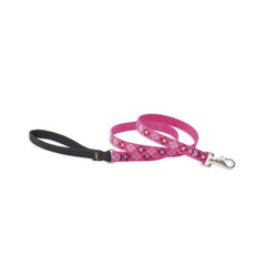 TRUE VALUE 14209 3/4X6 PL DOG LEASH