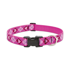 TRUE VALUE 14252 1X12-20 PL DOG COLLAR EA