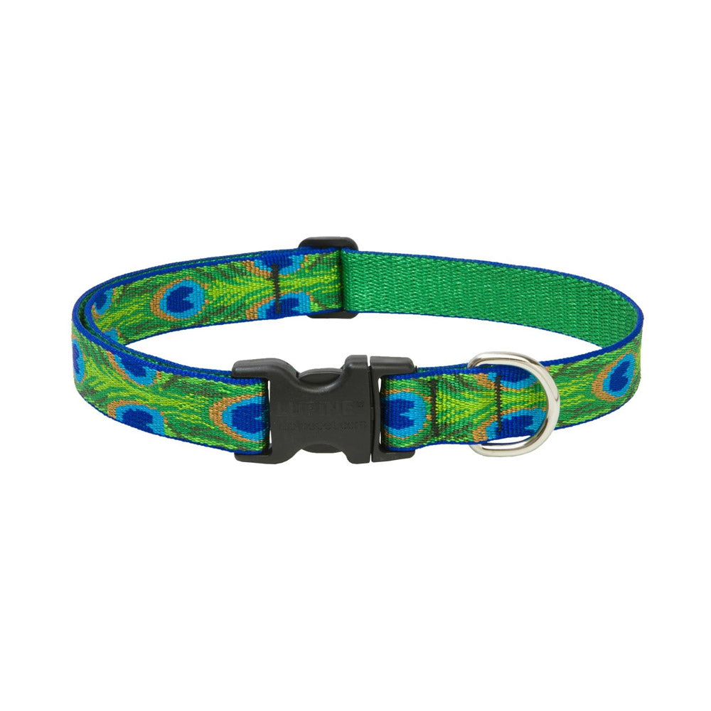 True Value 32652 1X12-20 TF Dog Collar