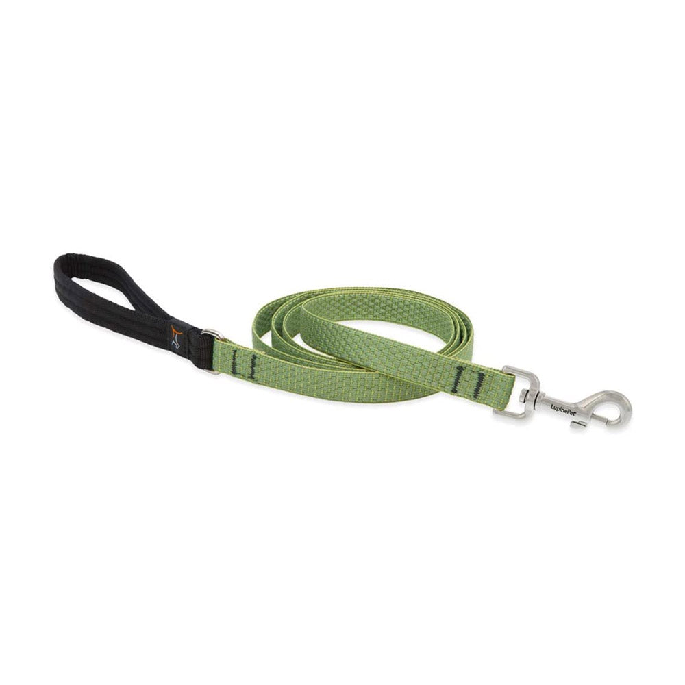 TRUE VALUE 36709 3/4X6 MOSS DOG LEASH