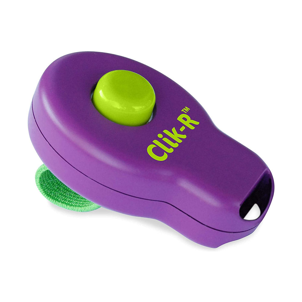 True Value CLKR-RTL CLIK-R TRAINER