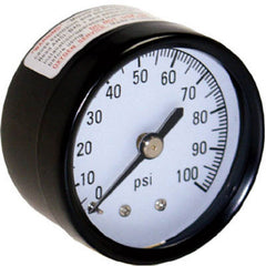 TRUE VALUE M1002-8B WATER SOURCE M1002-8B 100LB Backmount Gauge