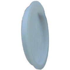 True Value PVC001310800HA 2 Inch PVC Pipe Test Cap