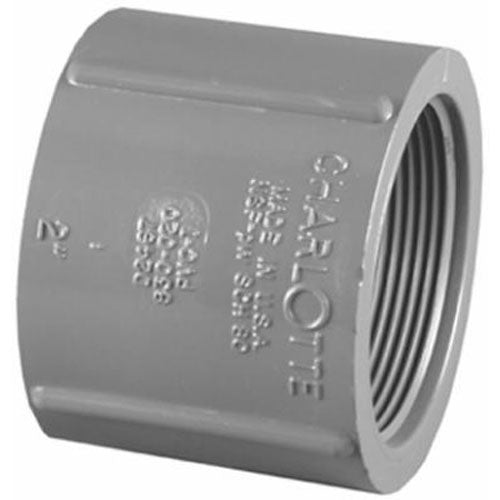 TRUE VALUE PVC081021200HA 3/4 PVC SCH80 Coupling