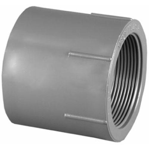 True Value PVC 08101 1000HA 1/2 SCH80 Adapter