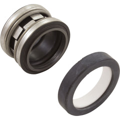 Pentair U9-433SS Shaft Seal 1-1/4 Inch Buna-N Replacement for Pool and Spa Pumps