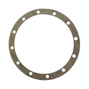 Armstrong Pumps 106592-000 Body Gasket for S69-BF1 Pump