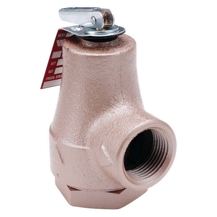 Watts F358553 Water Pressure Relief Valve 30 psi 3/4 in FNPT