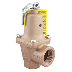 Watts 0383542 740 Iron Water Pressure Relief Valve 1-1/2 x 2 in FNPT 30 psi