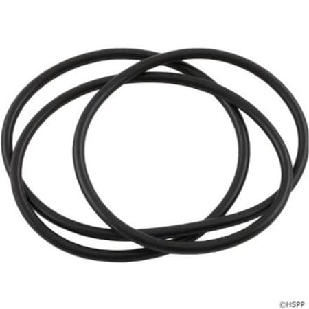 Waterway 805-0460 Lid O-Ring for Clearwater II