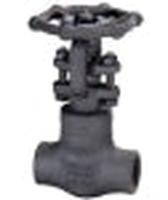 BONNEY FORGE V110355A GATE VALVES