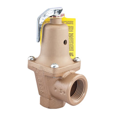 Watts 0383020 Pressure Relief Valve 30 psi 1-1/4 in Nominal FNPT