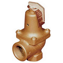 Watts 0275950 174A Pressure Relief Valve 100 psi 1-1/4 NPT Bronze