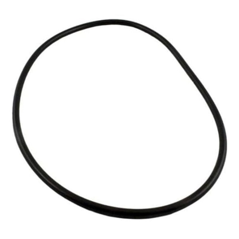 Waterway Plastics 805-0448B O-Ring #448 Pro Clean Filter 35 Shore W/Bag