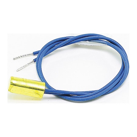 Raypak 010787F Water Sensor