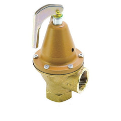 Watts 0121544 Backflow Check Relief Valve 1-1/2