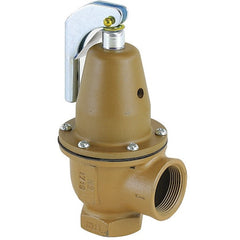 Watts 0383025 740-1 1/4-40# 2,590,000 BTU Boiler Pressure Relief Valve