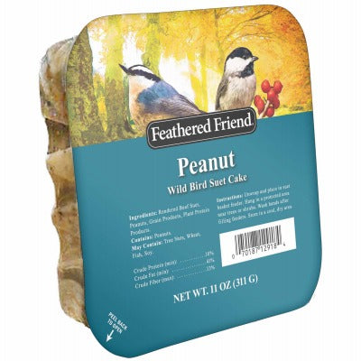 BSC PREFERRED Bsc Preferred 14372 Peanut Suet Wild Bird Suet Cake