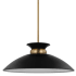 NUVOH2O NUVOH2O 60-7461 Pendant Light 19.625in Wide E26 Base