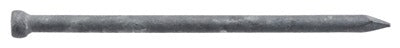 HILLMAN Hillman Fasteners 461308 Galvanized Finish Nail 3.5in 16D