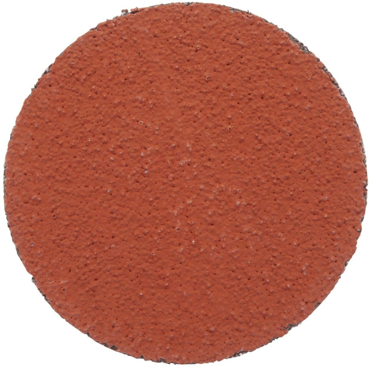3M 3M 7000118298 2 36 Grit Disc