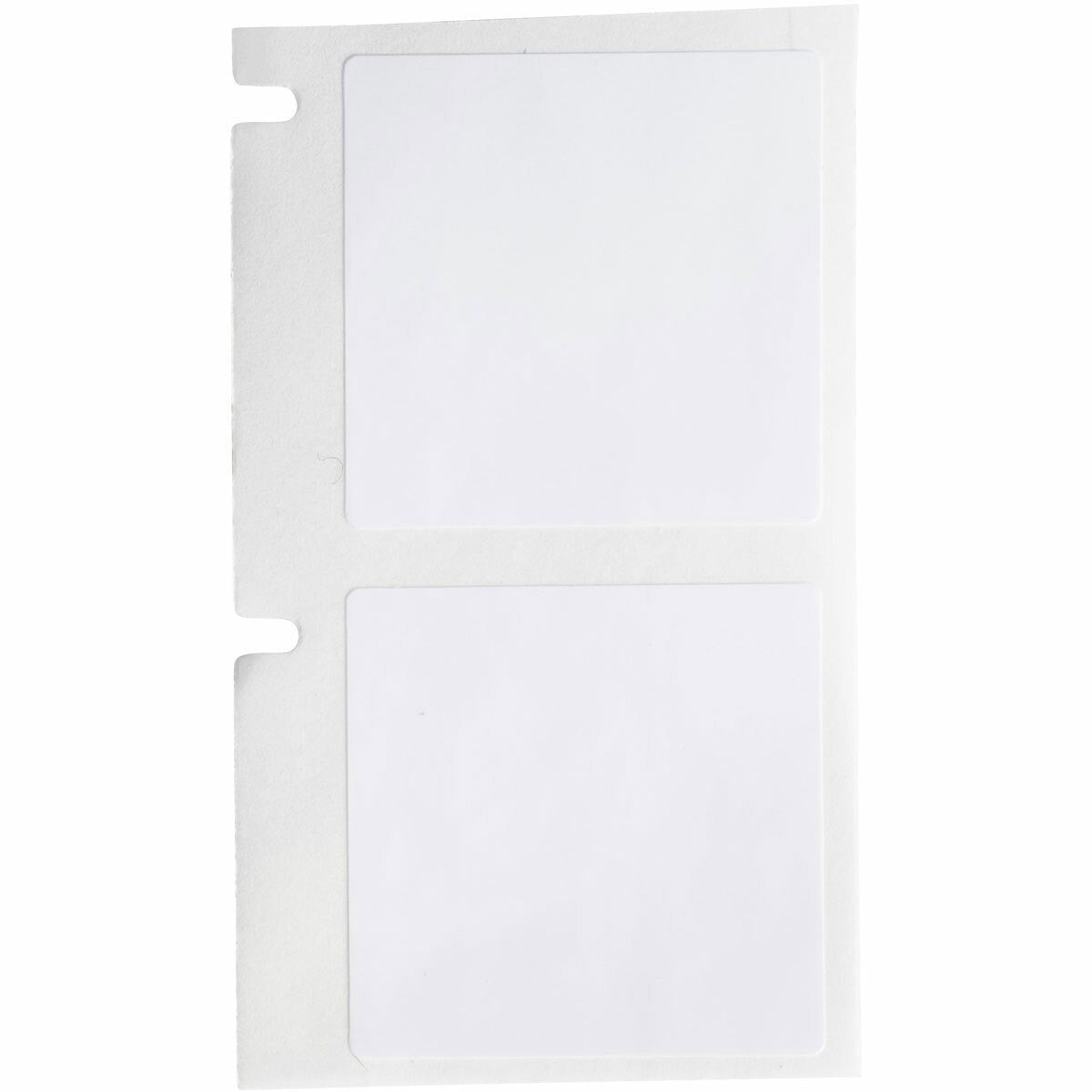 BRADY Brady PTL-19-423 Label Polyester 1 in x 1 in (250/roll) 888434-60035