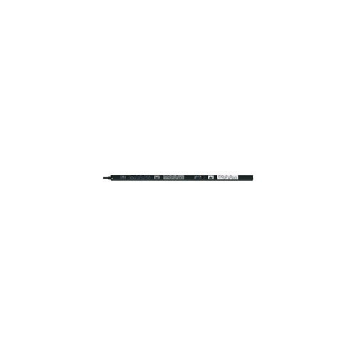 PANDUIT Panduit P24E30M-BL2A Vertical Pdu 18 C13 6 C19