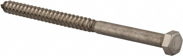 VALUE COLLECTION Value Collection R63234960 Hex Head Lag Screw 3/8x6 Ss