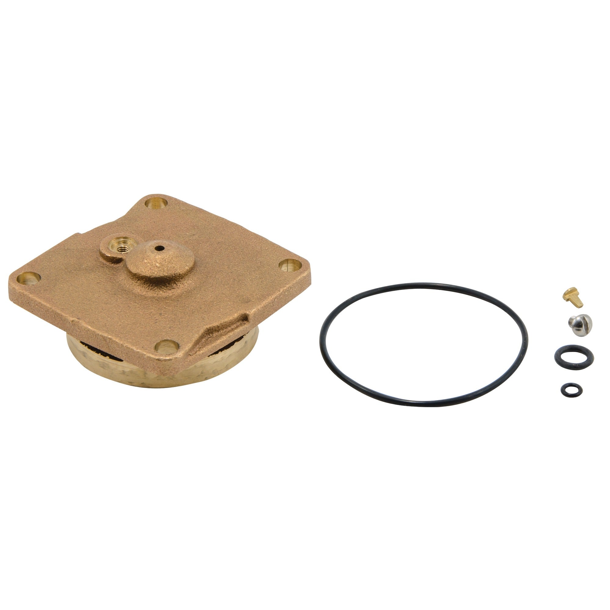 WATTS Watts 0887013 Series RK-009 Cover Valve Repair Kit (3/4-1 in) WRK009CFG