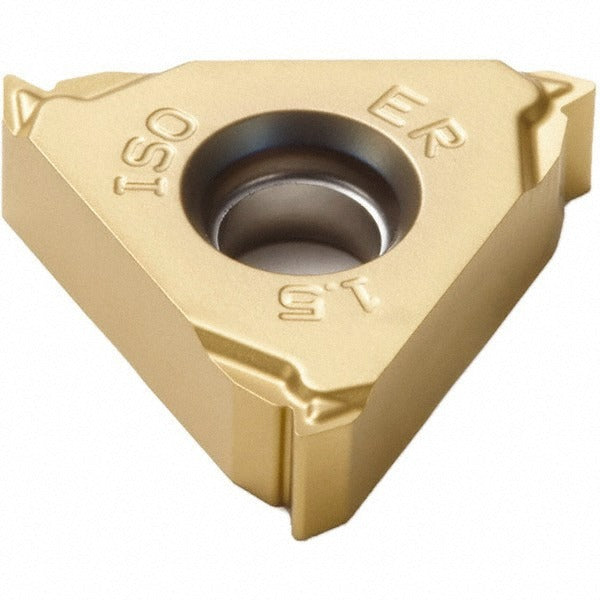 SECO TOOLS Seco 00049728 Laydown Threading Insert CP500 Iso Thread